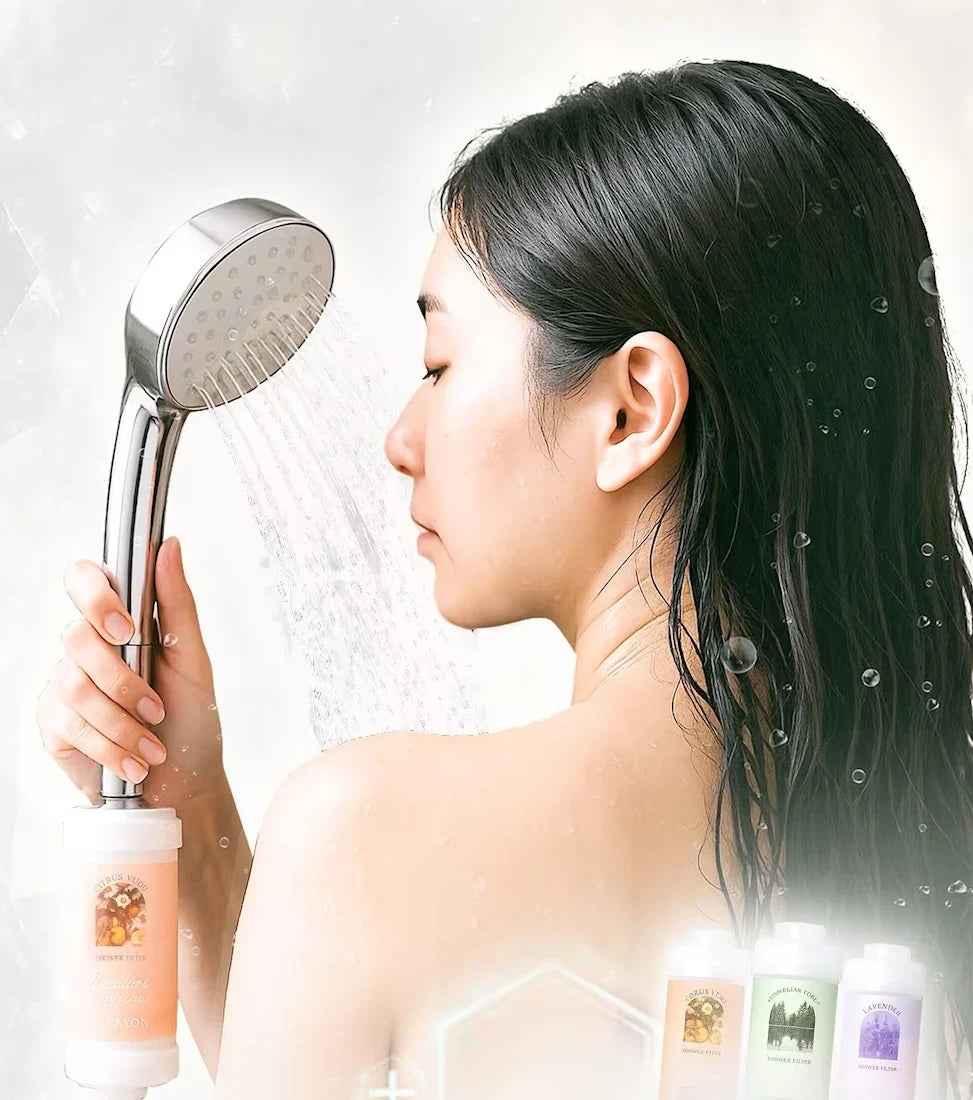 Shower filter fitted to a handheld shower head